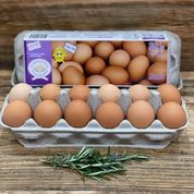 Casaccio Farm fresh Eggs - 800g - per dozen